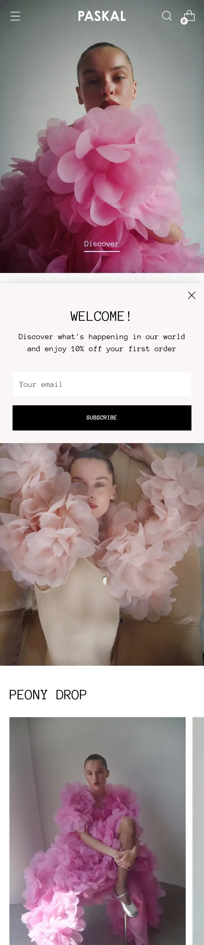 paskalclothes — початок мобільної версії