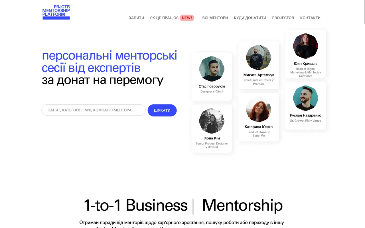 projector mentorship